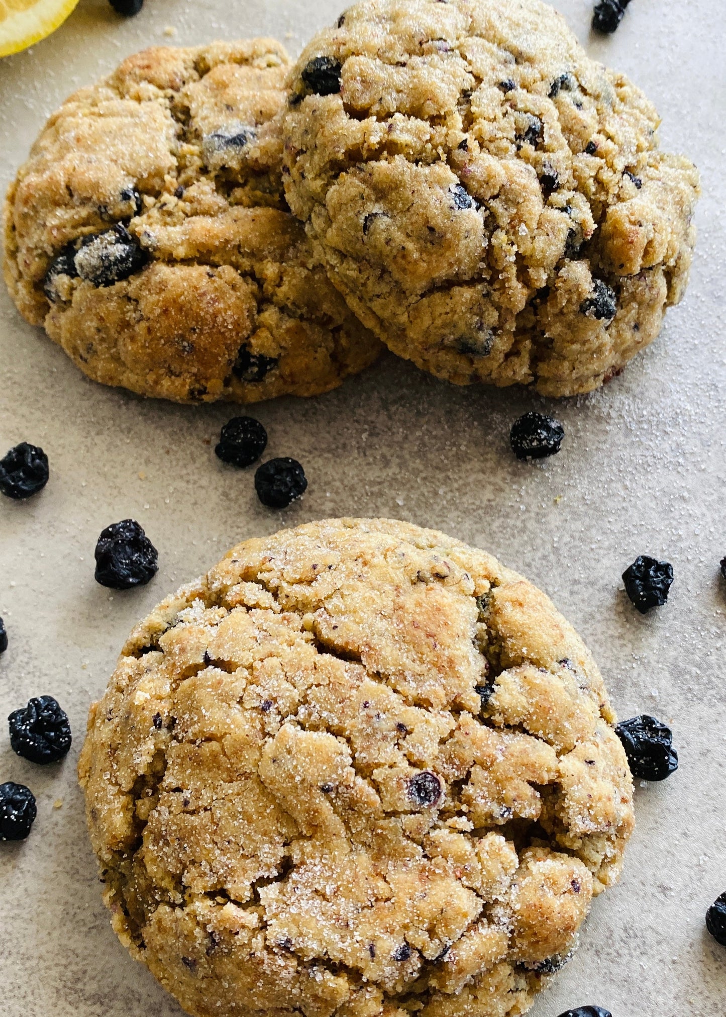 Blueberry Lemon Cookies