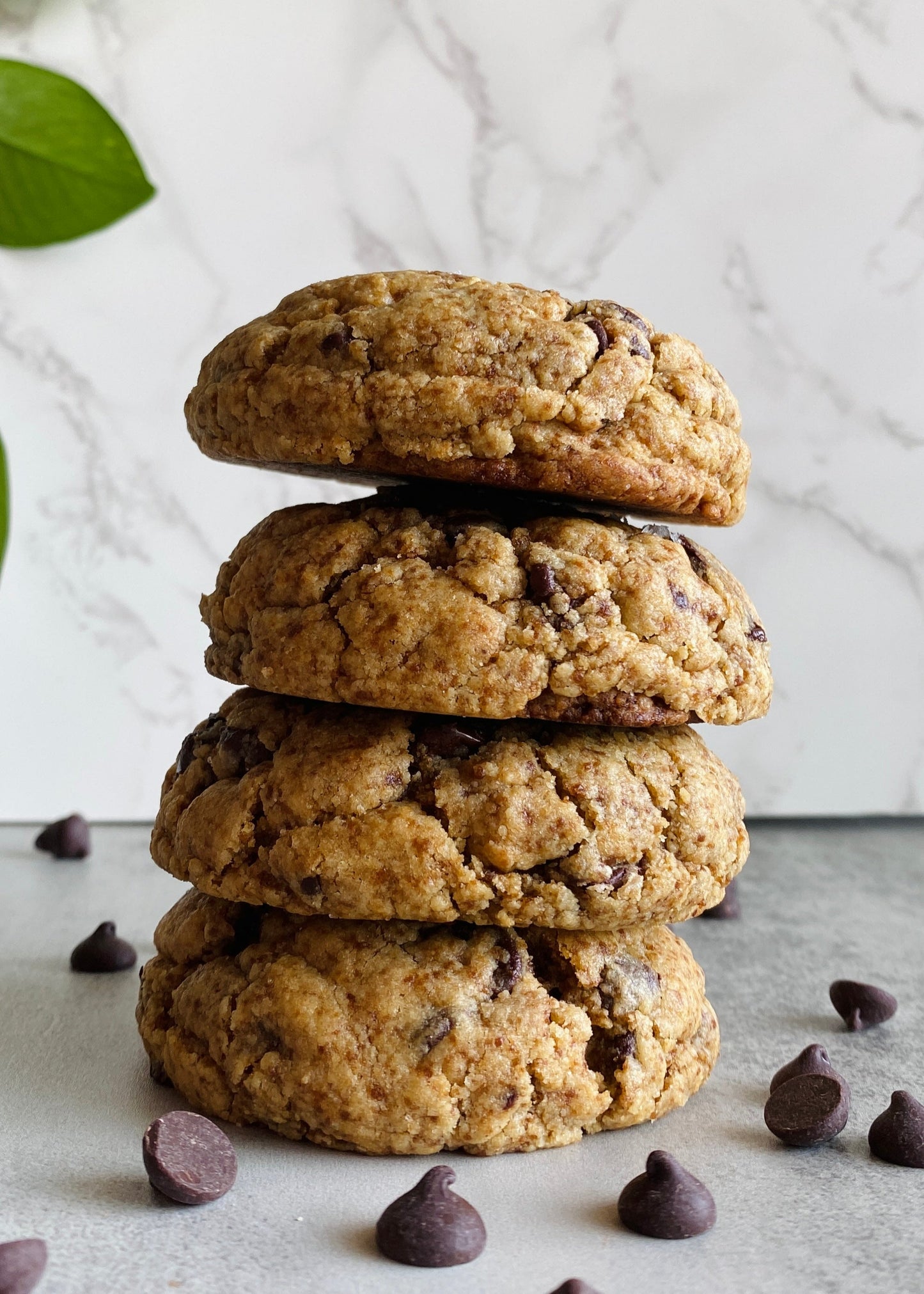 Chunky Chocolate Chip